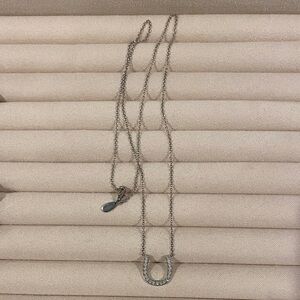 Platinum horseshoe necklace